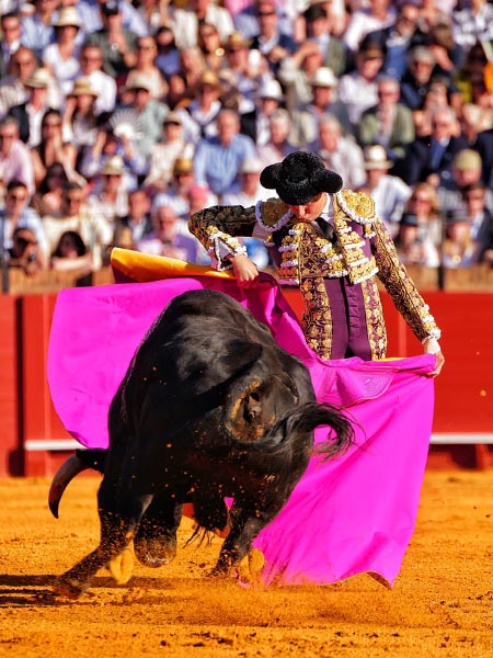 Atractivo tercio de quites