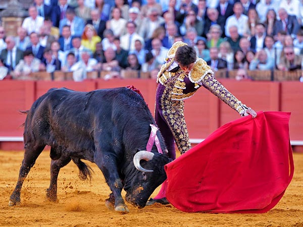 Toreo largo y templado