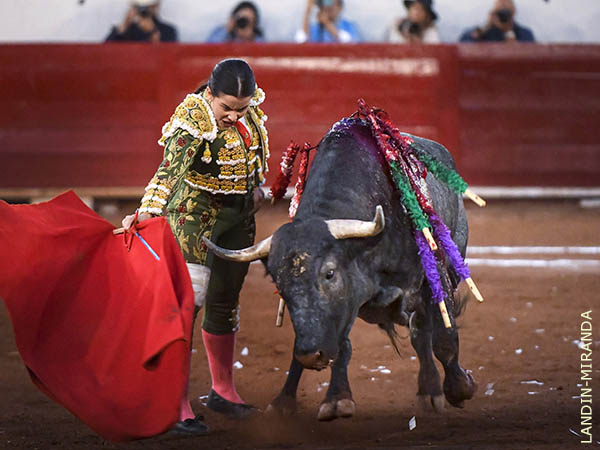 Ejemplar con diferentes prestaciones