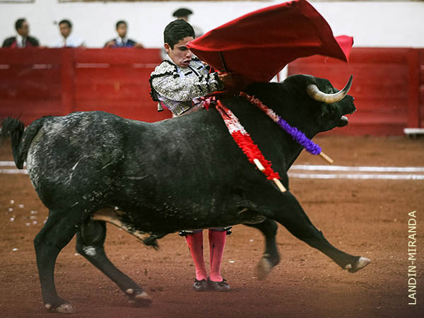 Enfrentado con firmeza