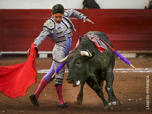 El Maletilla con el segundo de su lote