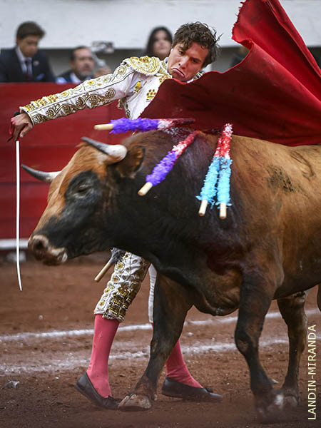 Momentos importantes en su faena