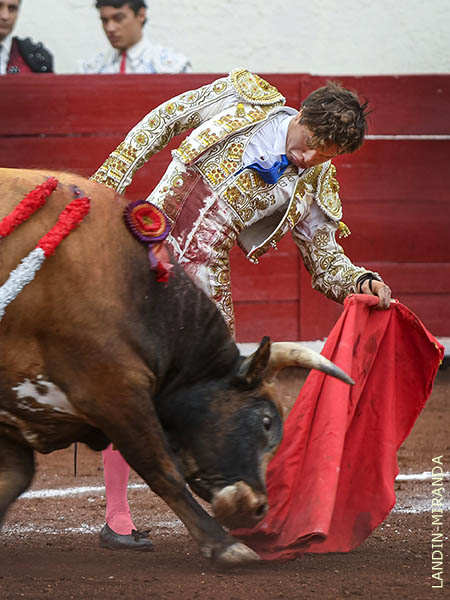 Temple y mando con el colorado