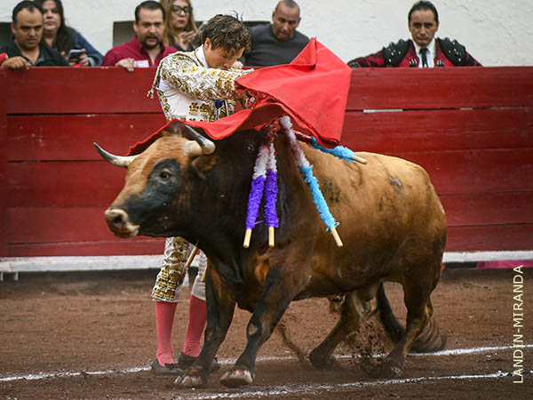 Vertical a dos manos