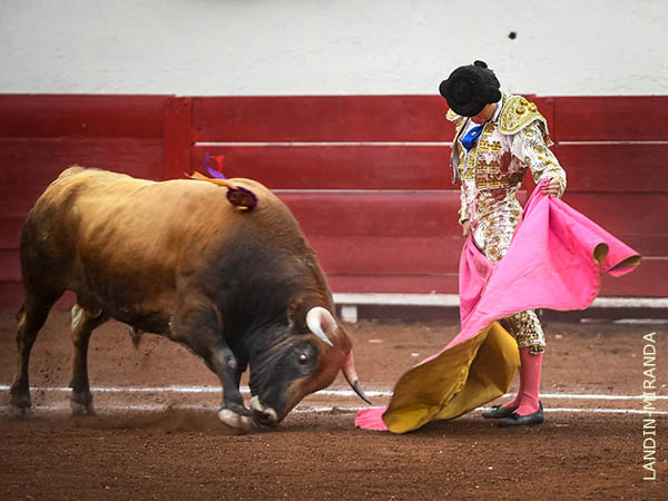 Solito, con verdad en las ver�nicas