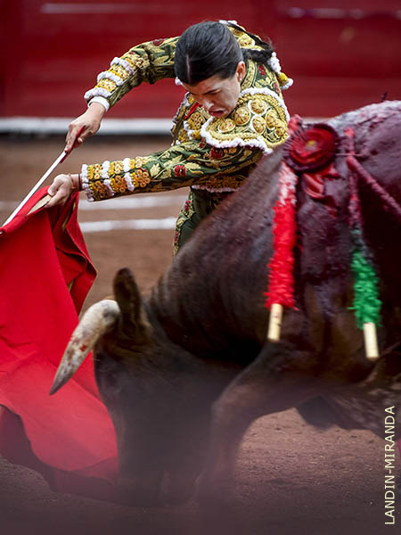 Emotivo en la embestida