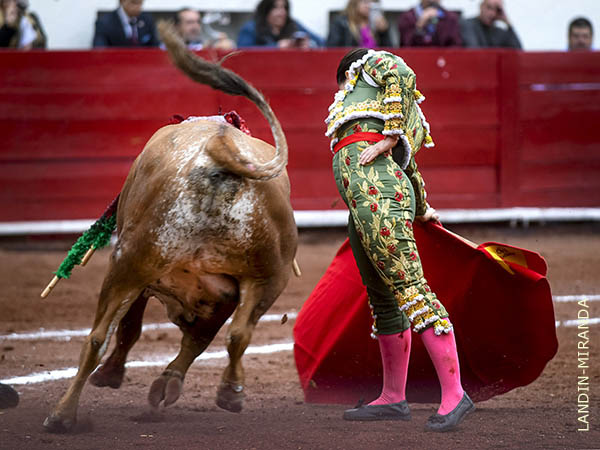 Series que repercutieron en el tendido