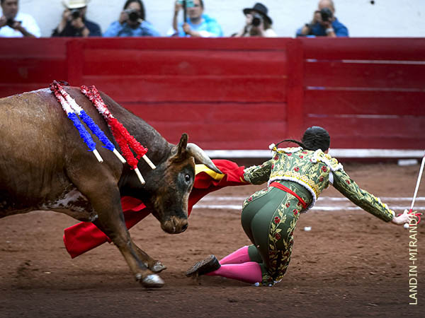 La alcanz� a herir