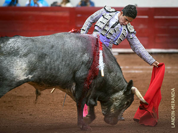 Destellos de su tauromaquia