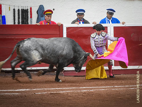 Ver�nicas de El Maletilla