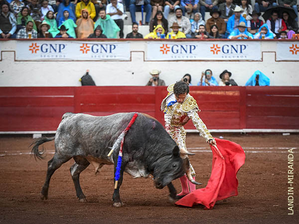 La faena en los medios