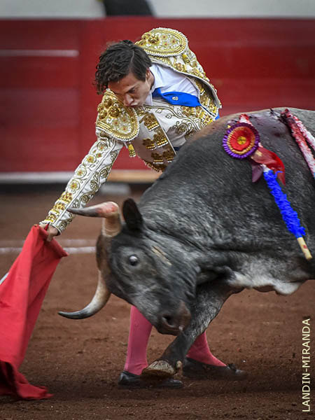 Intenso en su trasteo