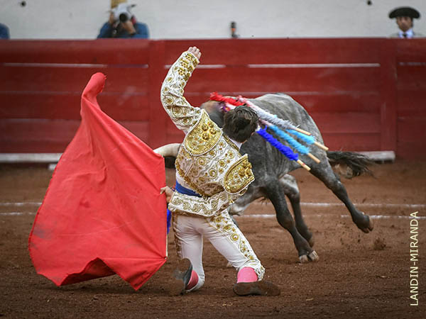 La arrucina, sobrado de valor y voluntad