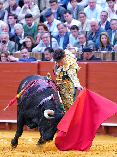 Exquisitos naturales