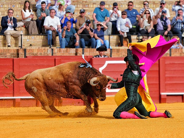 Pepe inicia el festejo de feria