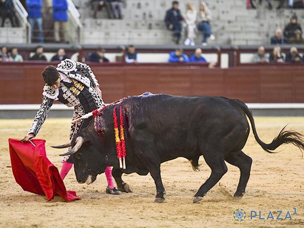 Pedro Andr&eacute;s sobresale en Madrid