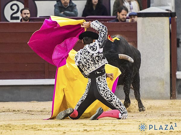 Portagayola en lo medios