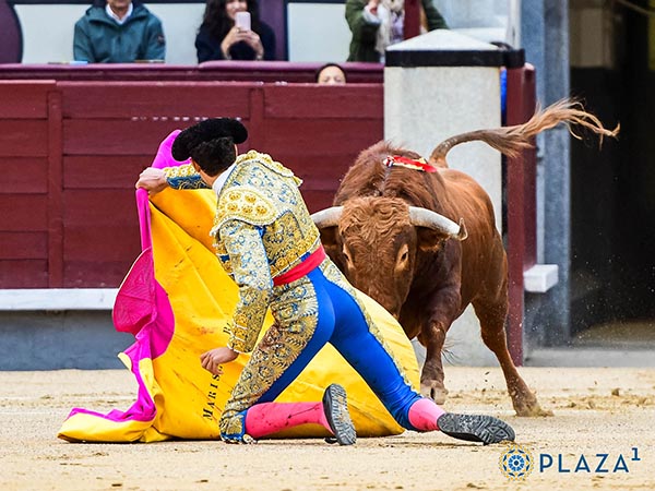 Valiente en el saludo