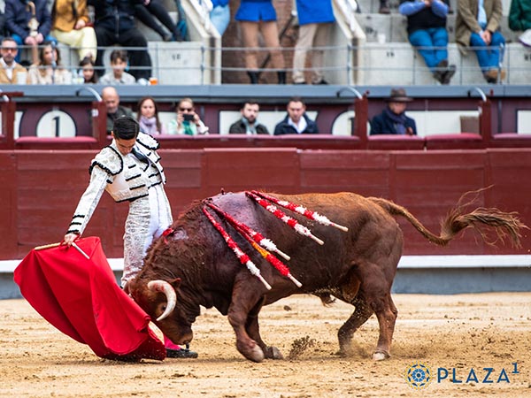 Reposadas tandas con la diestra
