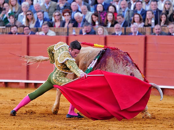 Ahormando la embestida