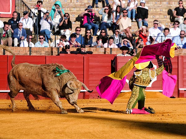 Espectacular inicio de la lidia