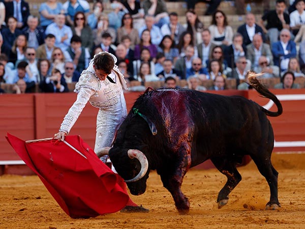 Metiendo la cara abajo