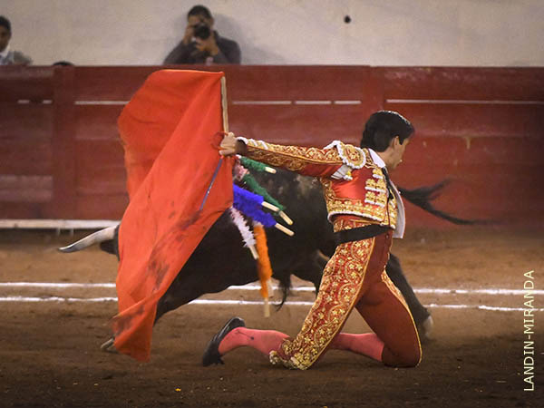 Los machos bien puestos