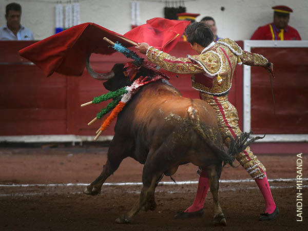 Faena de completa entrega