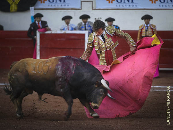 El quite por navarras