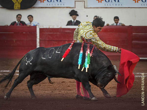 Se impuso la nobleza del ejemplar