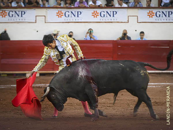 Se quer�a comer la muleta