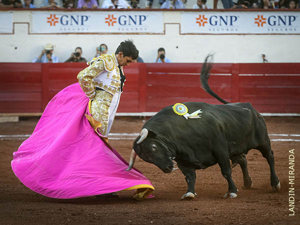 Abrochando el saludo