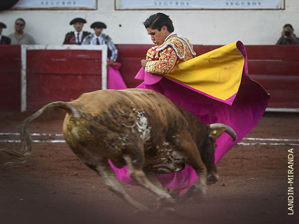 Zapopinas revolucionadas