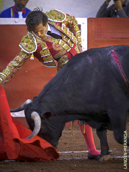 Hilvan� tandas que le jalearon