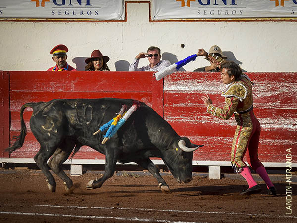 Viol�n al hilo de las tablas