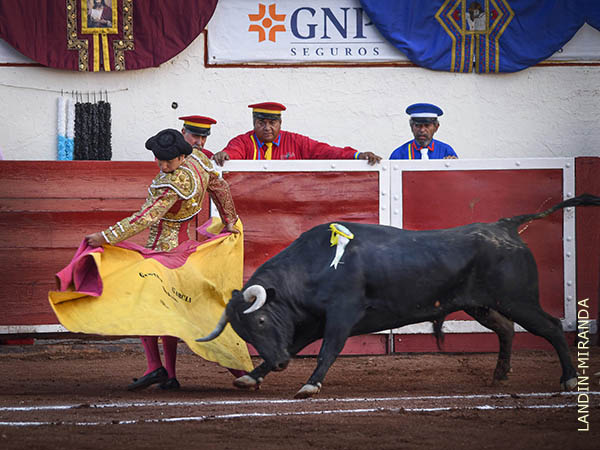 Heterodoxo saludo de Solito