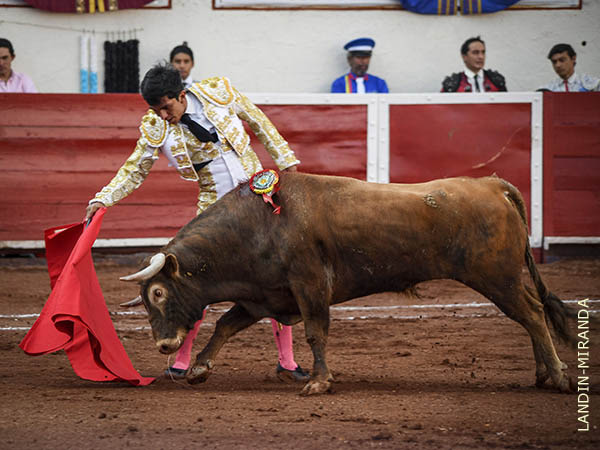 Primeras tandas de muleta