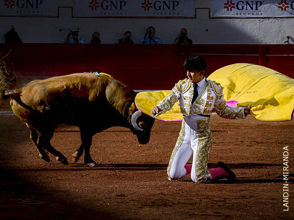 Larga entre sol y sombra