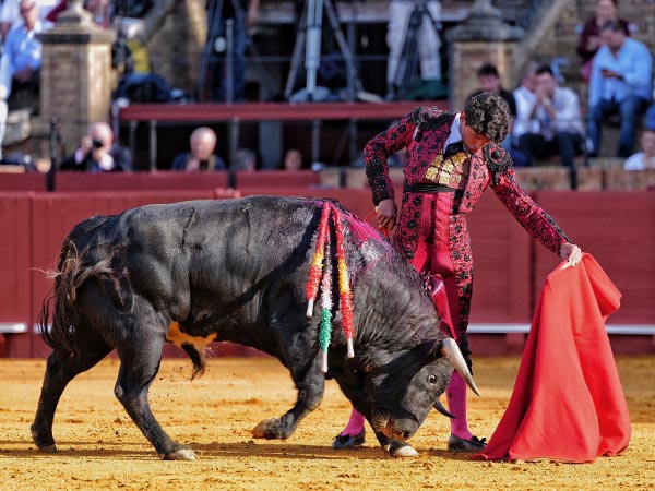 Osornio deja entrever su calidad en Sevill