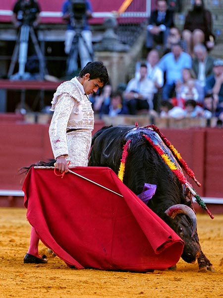 Conduciendo la embestida