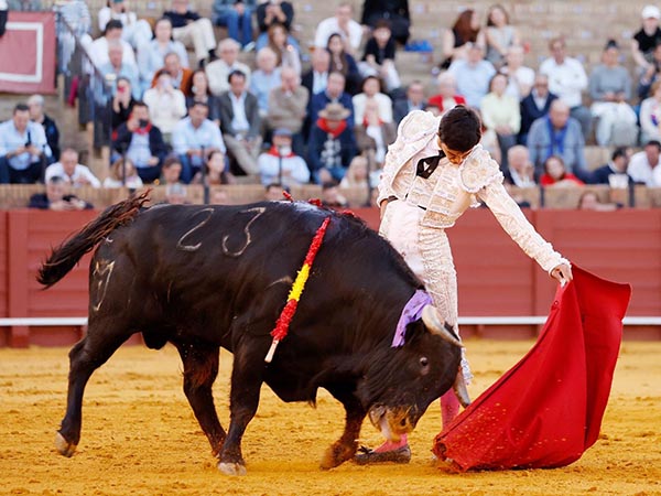 Naturales en los medios