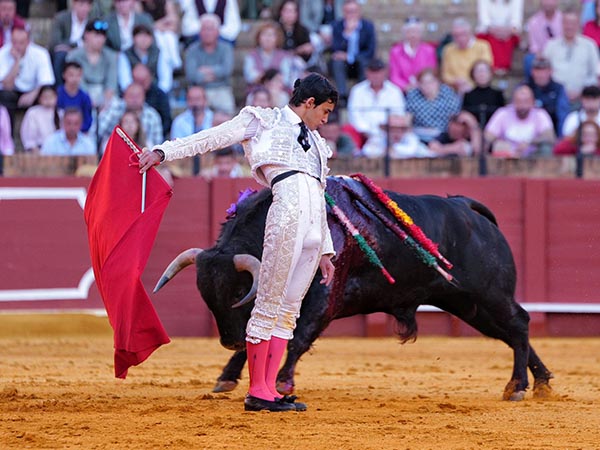 Cambiado por la espalda