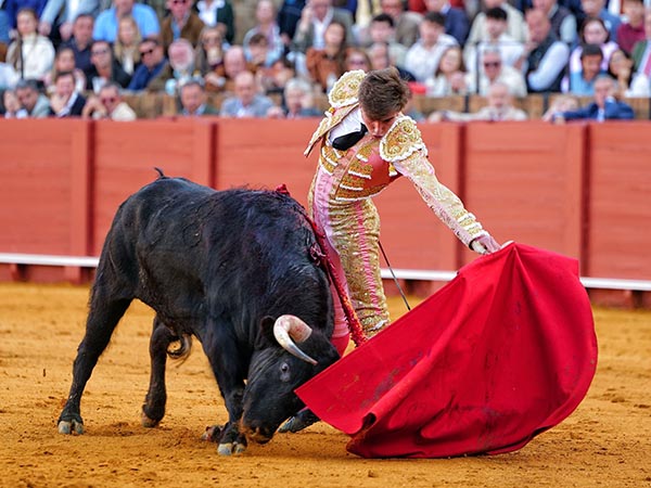 Ayud� con suavidad