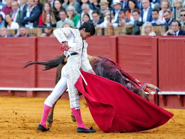 Adornos en el remate