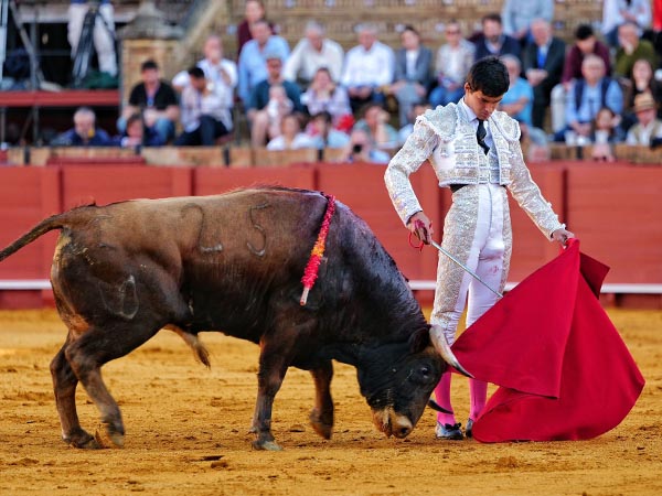 Reposo en los ayudados