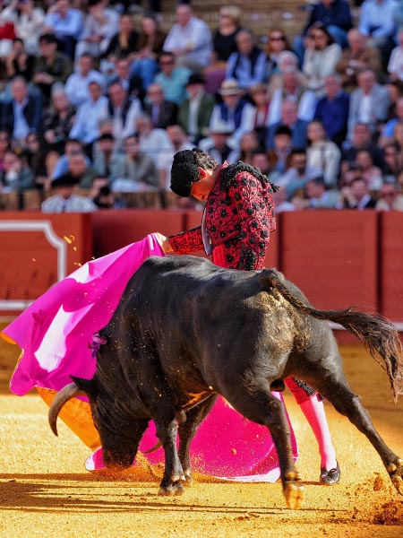 Ver�nicas con sello mexicano