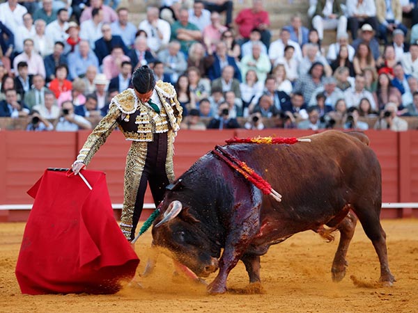 Tirando del casta�o