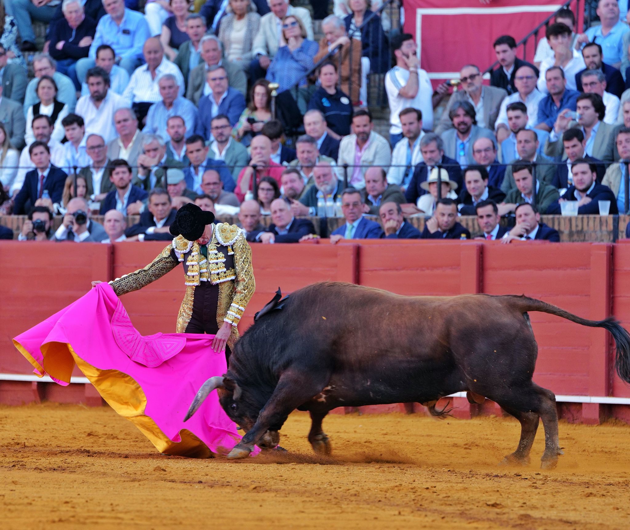 Saludo por ver�nicas