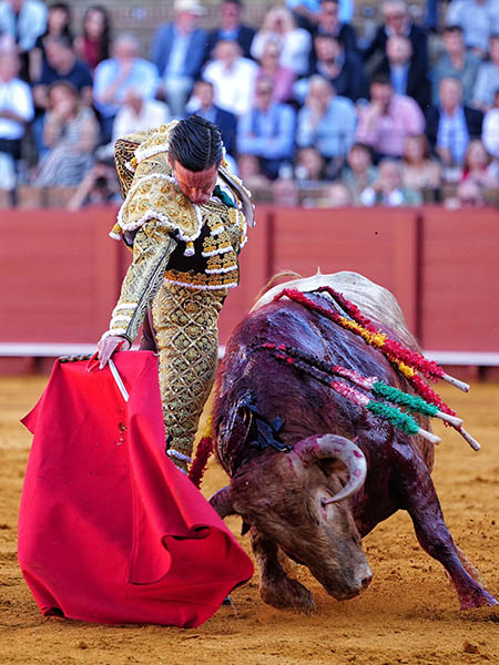 Llev�ndolo toreado