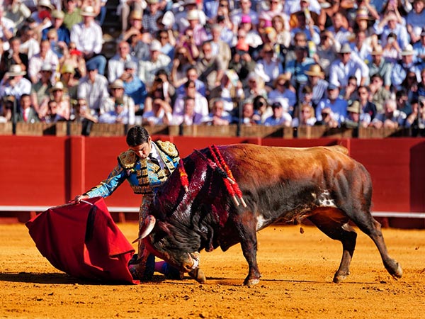 Perera, primer espada